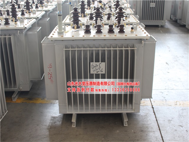 迪庆S11-6300KVA油浸式变压器